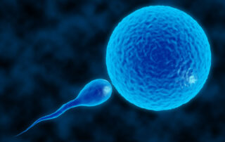 mid-iowa-fertility-IUI_-IVF-Or-ICSI-What-Assisted-Reproductive-Technology-Is-Best-For-You