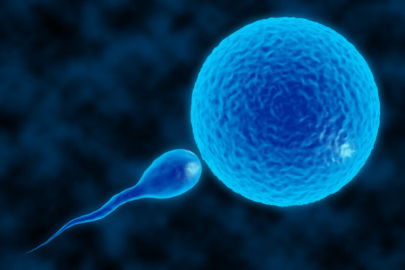 Ivf Technology IUI, IVF Or ICSI: What Assisted Reproductive Technology Is Best For You ...